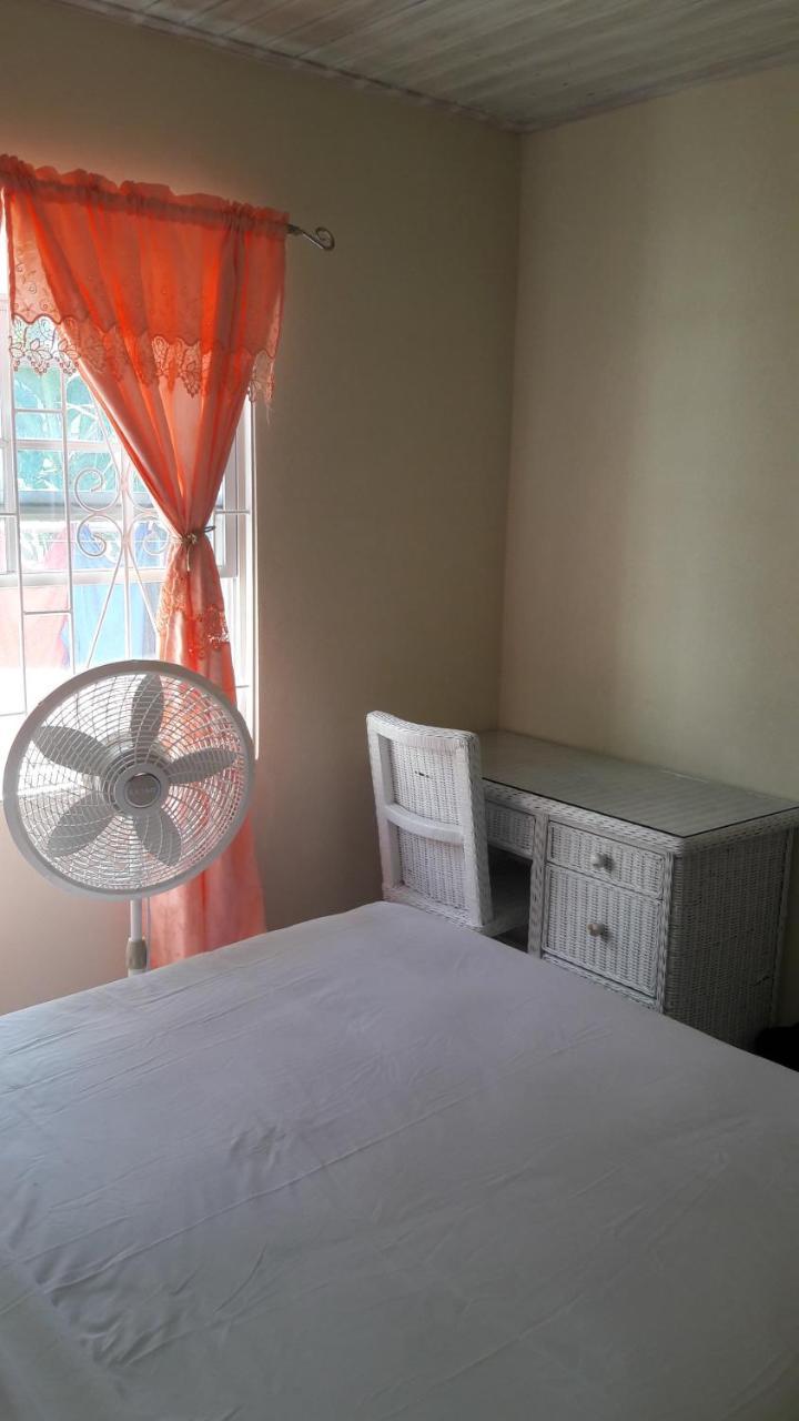 Sue's Homestay Christ Church Luaran gambar
