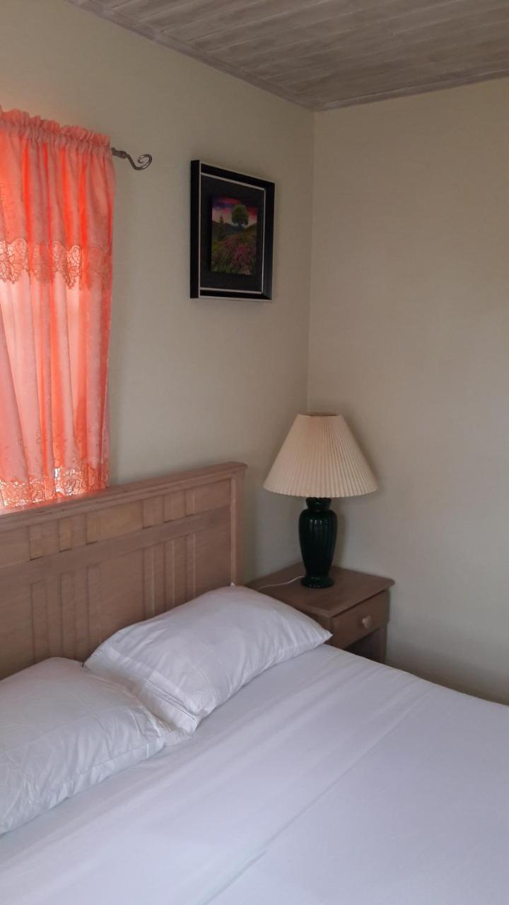 Sue's Homestay Christ Church Luaran gambar