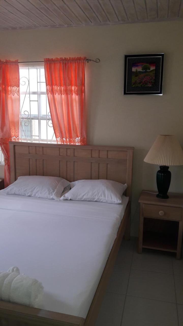 Sue's Homestay Christ Church Luaran gambar